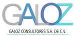 Galoz consultores